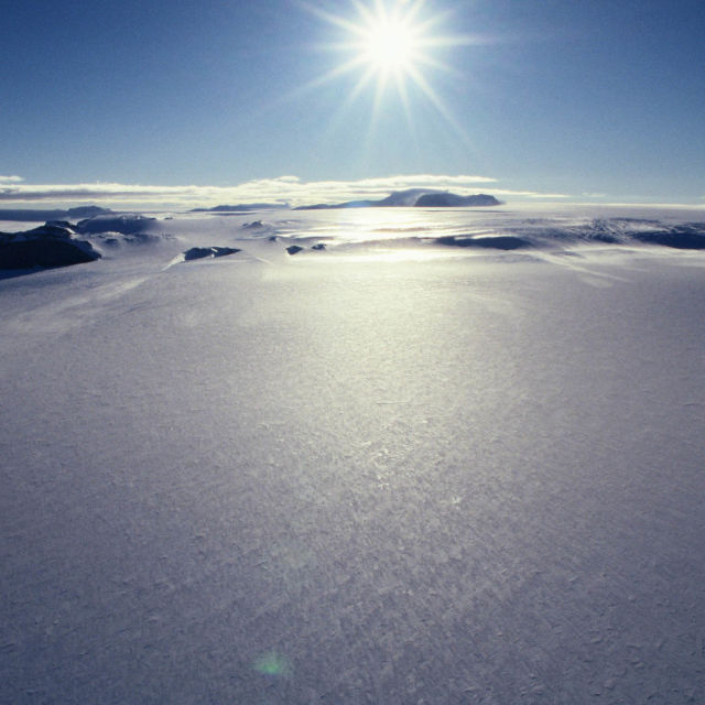 Det vilda Antarktis