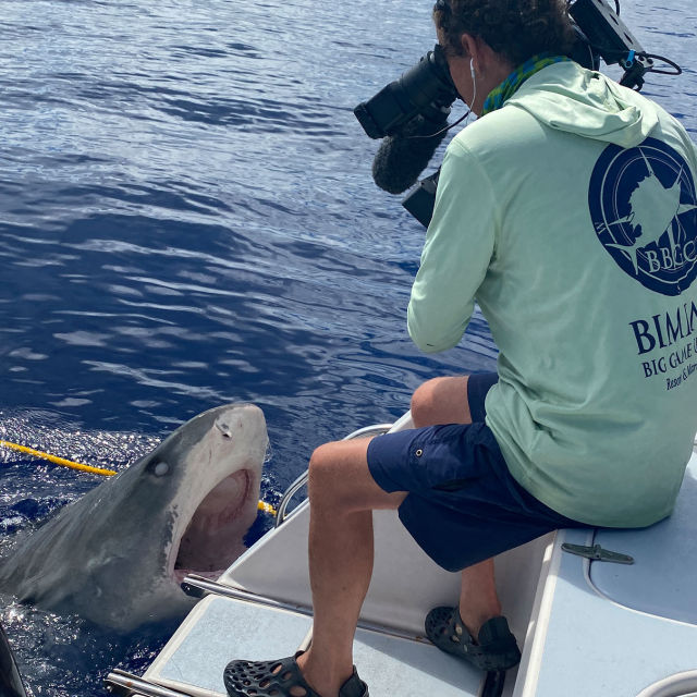 Sharkcano Hawaii HEM Den officiella hemsidan för National