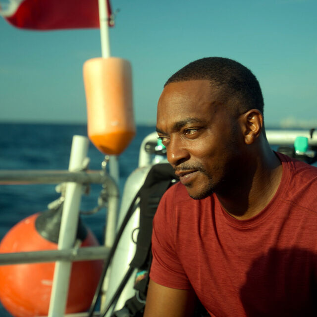 Shark Beach with Anthony Mackie: Gulf Coast - HEM - Den officiella ...